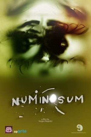 Numinosum (2020)