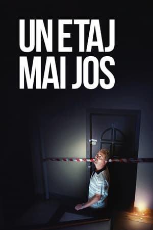 Un etaj mai jos (2015)