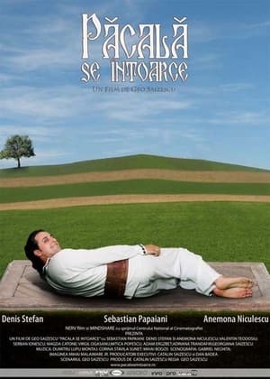 Păcală se întoarce (2006)