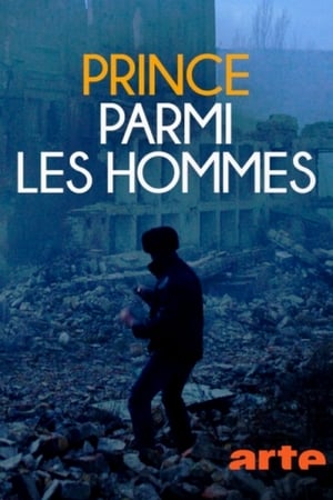 Prince parmi les hommes - Princes Among Men (2017)