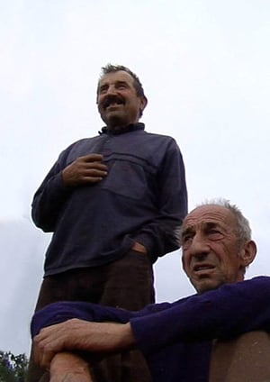 Quest (2010)
