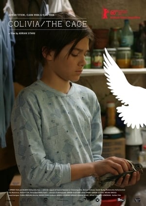 The Cage (2010)