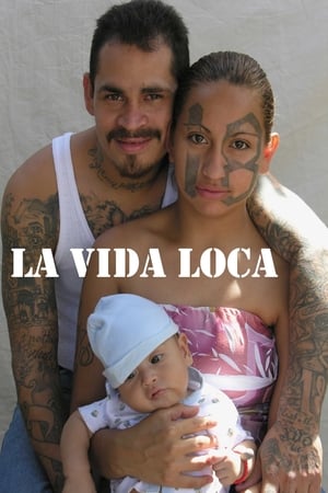 La vida loca - The Crazy Life (2008)