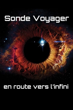 Sonde Voyager : En route vers l'infini - The Farthest (2018)