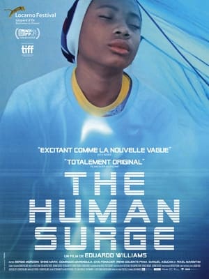The Human Surge (2017)