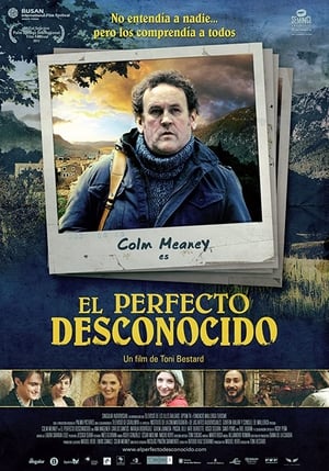 Bel inconnu - The Perfect Stranger (2011)