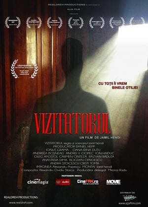 The Visitor (2017)