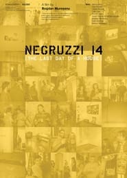 Negruzzi 14