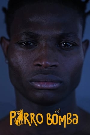 Perro bomba (2019)