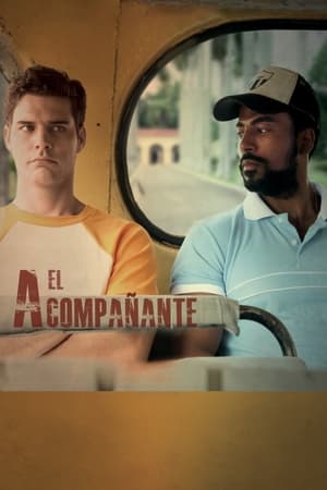 The Companion (2016)