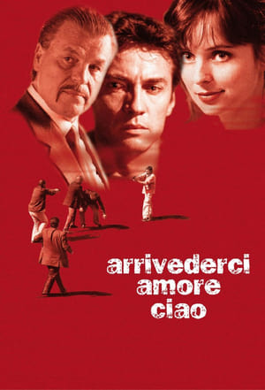Arrivederci amore, ciao - The Goodbye Kiss (2006)