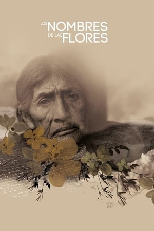 The Names of the Flowers (2019)