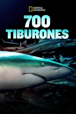 700 Tiburones - 700 Sharks (2018)