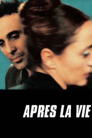 Después de la Vida - After Life (2002)