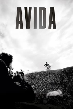 Avida (2006)