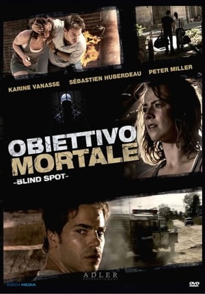 Obiettivo mortale - Blind Spot (2011)
