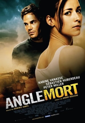 Blind Spot (2011)