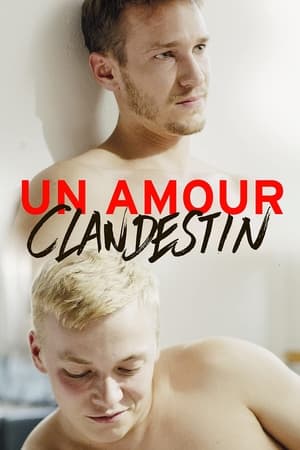 Un amour clandestin - Brother and Sister (2016)