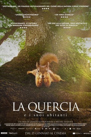 La quercia e i suoi abitanti - Heart of an Oak (2022)