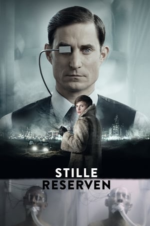 Stille Reserven - Hidden Reserves (2016)