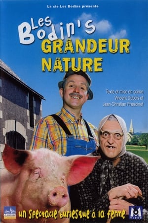 Les Bodin's - Grandeur Nature (2006)