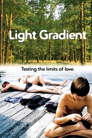 Light Gradient (2009)