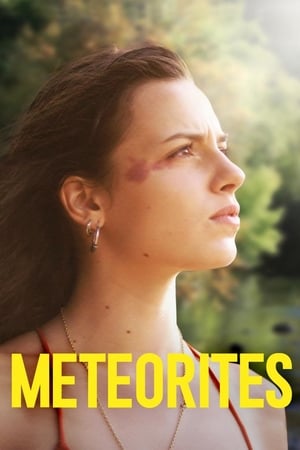Meteoriții - Meteorites (2019)