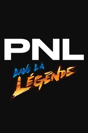 PNL - Dans la légende tour (2020)