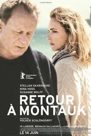 Retour à Montauk - Return to Montauk (2017)