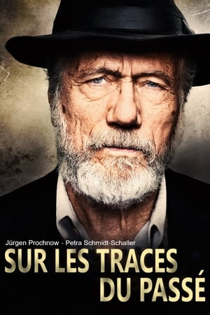 Sur les traces du passé - The Final Journey (2017)