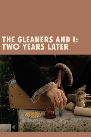 The Gleaners and I: Two Years Later (2002)