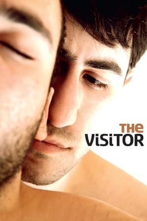 The Visitor (2011)