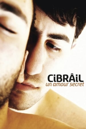 Cibrâil : Un amour secret - The Visitor (2011)