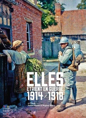 Elles étaient en guerre (1914 - 1918) (2014)