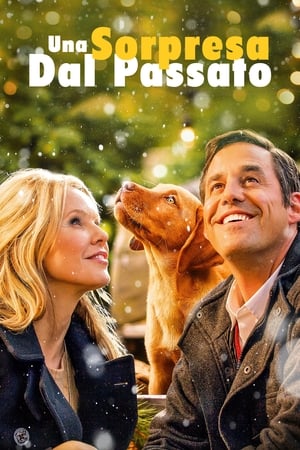 Una sorpresa dal passato - A Golden Christmas (2009)