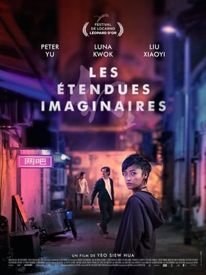 Les Étendues imaginaires - A Land Imagined (2019)