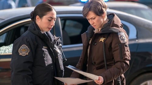movies/2024-09-16/fargo-wzcW5mBHrVnsqg1P6QOdT2kunjk.jpg