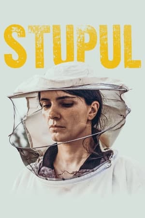 Stupul - Hive (2021)