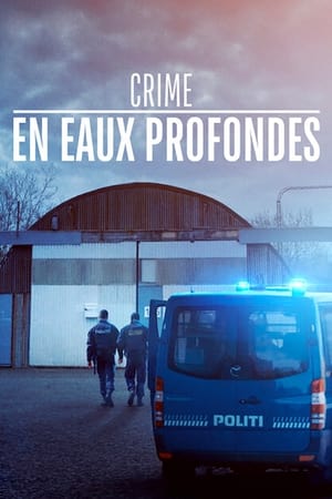 Crime en eaux profondes - Into the Deep: The Submarine Murder Case (2020)