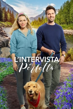 L'intervista perfetta - Just My Type (2020)