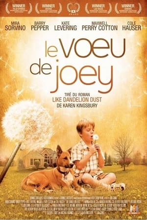 Le voeu de Joey - Like Dandelion Dust (2009)