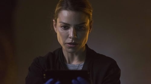 movies/2024-09-16/lucifer-wmqdu0HYZaIkfEg8Jdp8O9xuCPz.jpg
