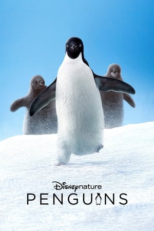Pinguinii - Penguins (2019)