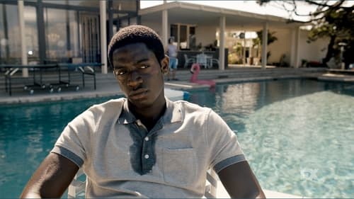 movies/2024-09-16/snowfall-cLFWMoIq0cclqyL2XDvHJCQ8PhU.jpg