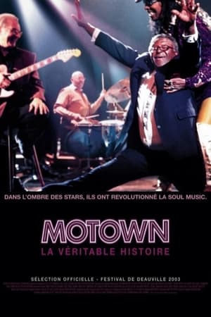 Motown, la véritable histoire - Standing in the Shadows of Motown (2002)