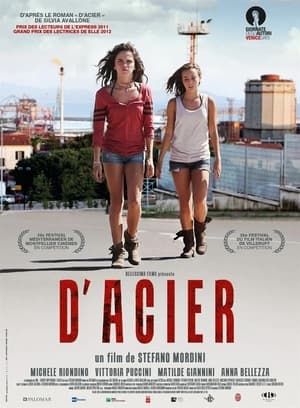 D'Acier - Steel (2012)
