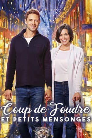 Coup de foudre et petits mensonges - The Art of Us (2017)