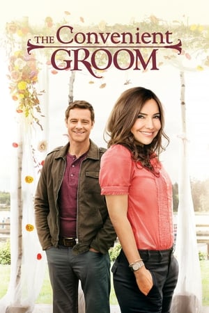 Un fiancé qui tombe à pic - The Convenient Groom (2016)