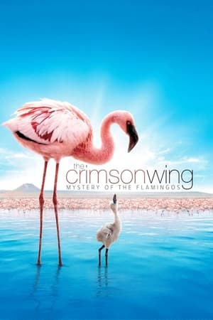 Aripa stacojie: Misterul Flamingilor - The Crimson Wing: Mystery of the Flamingos (2008)