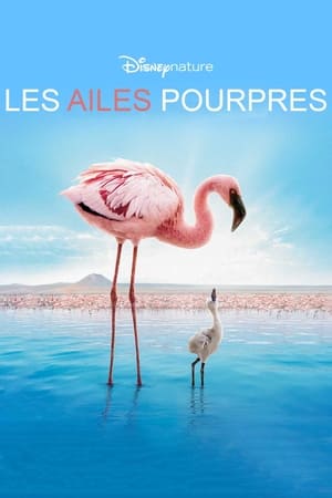 Les Ailes pourpres : Le Mystère des flamants - The Crimson Wing: Mystery of the Flamingos (2008)